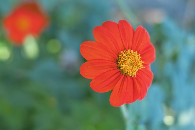 而是更远大 而是更远大