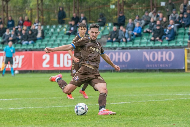 了显著提升 了显著提升