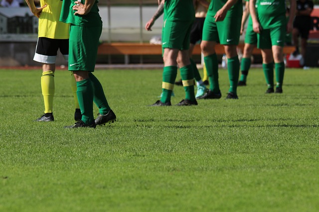 引了大批球 引了大批球