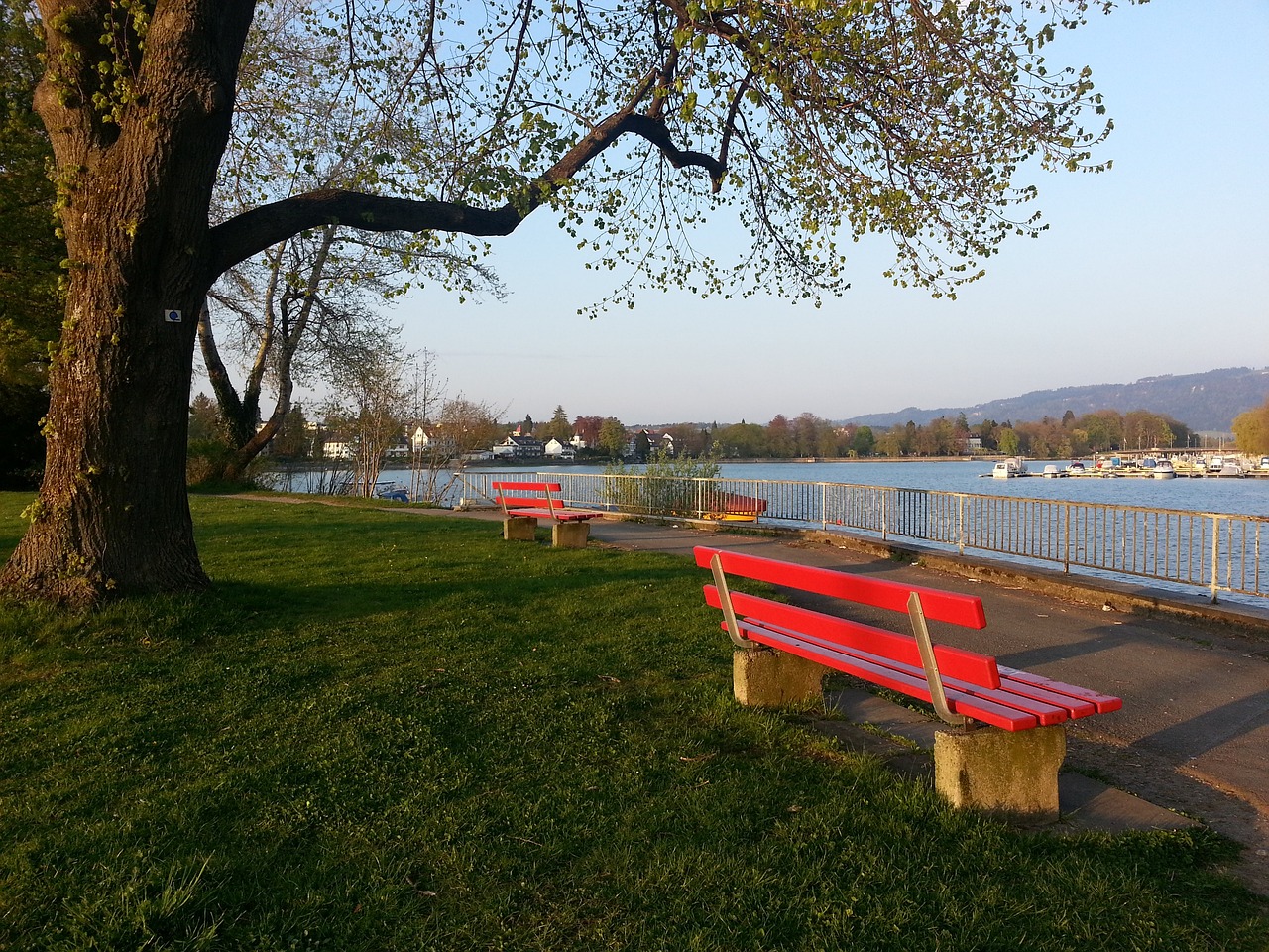 俱乐部与财 俱乐部与财